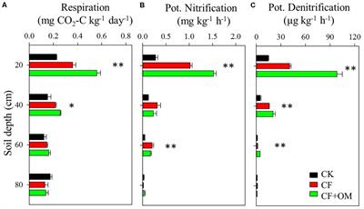 Synthetic Fertilizer Increases Denitrifier Abundance and Depletes Subsoil Total N in a Long-Term Fertilization Experiment